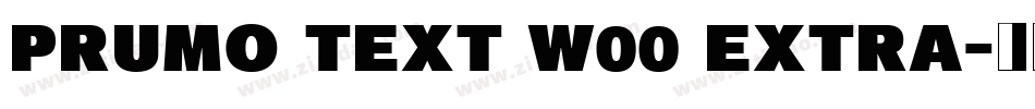 Prumo Text W00 Extra字体转换